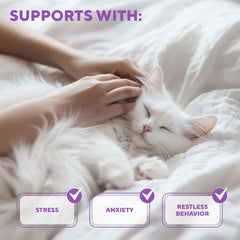 Relaxivet usage-stress-cat-en-voyage aide à détendre le chat pendant le voyage