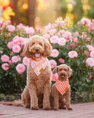 Remy+Roo bandanas daisy designs tendance, parfait pour un look estival.
