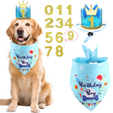 Bandana anniversaire Rensh bleu sur chien, prêt pour photos festives.