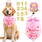 Bandana anniversaire rose de Rensh pour chien, prêt pour les photos festives.