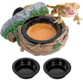 REPTI ZOO plate-forme nourrir magnétique fixée paroi verre, repas stable.