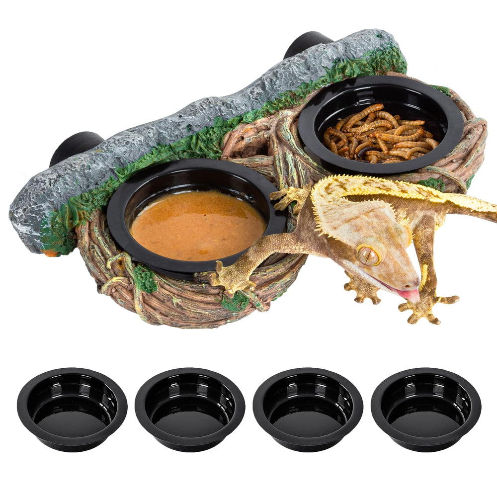 REPTI ZOO rebord d’alimentation magnétique, fixation solide sur le terrarium.