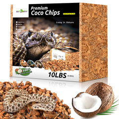Terrarium avec le substrat coco REPTI ZOO, habitat naturel et propre.