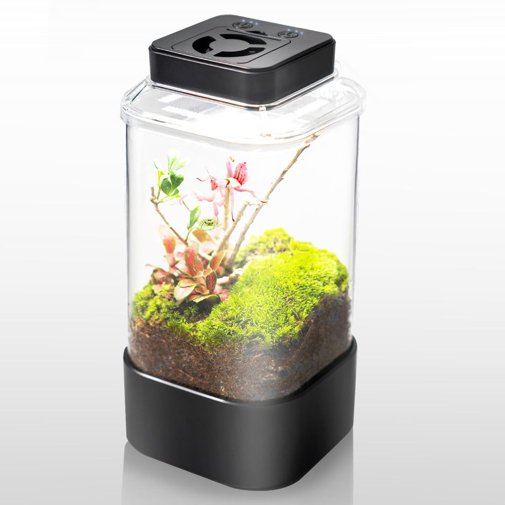 Terrarium REPTI ZOO 4 po x 4 po x 6 po, compact et pratique.