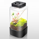Terrarium REPTI ZOO 4 po x 4 po x 6 po, compact et pratique.