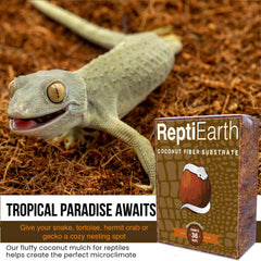 ReptiEarth substrat coco creusage favorise fouissage des reptiles