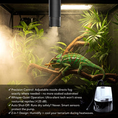 Brume réglable du brumisateur ReptiKing pour vivarium et serre.