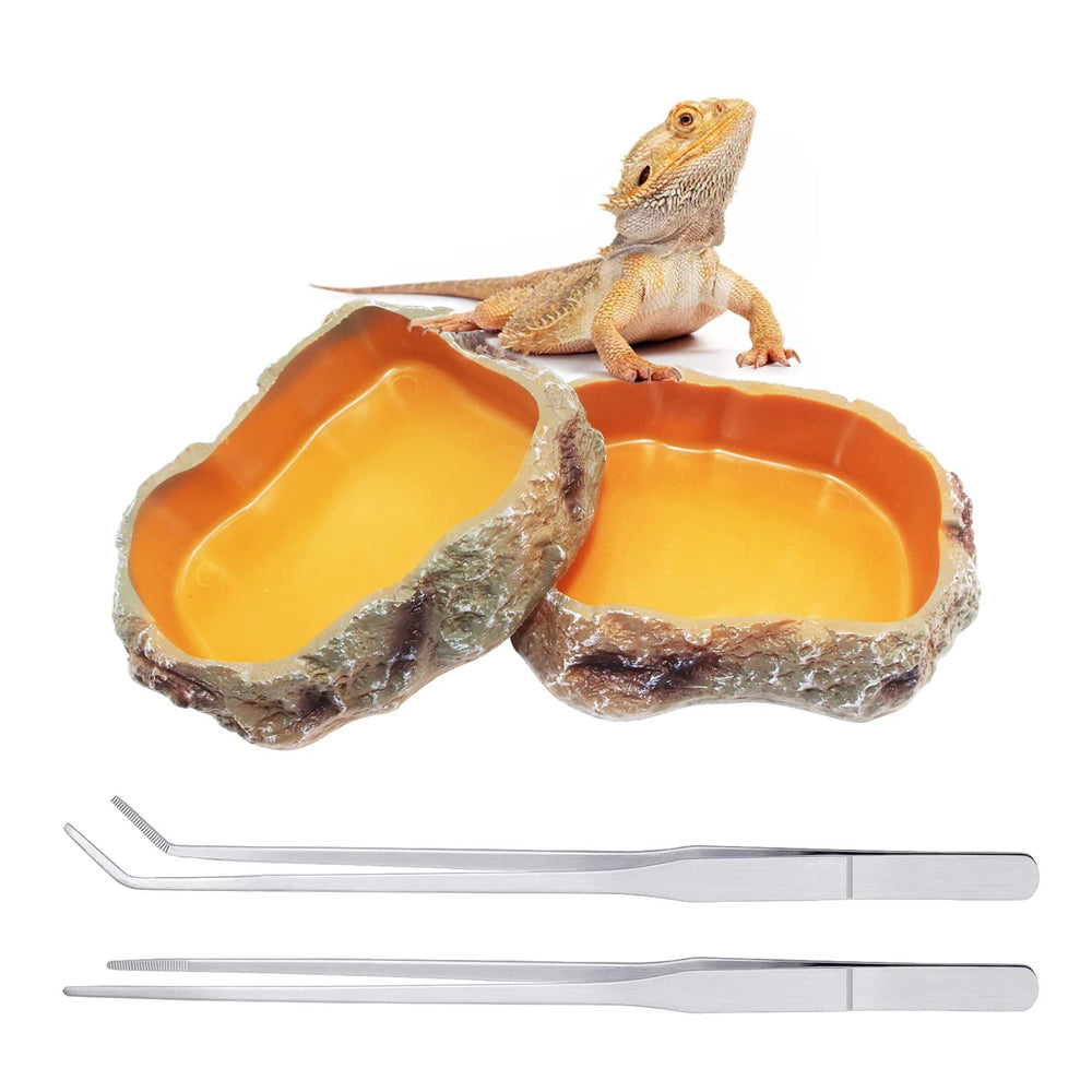 Bol nourriture Reptile Growth, pratique et stable pour nourrir votre reptile