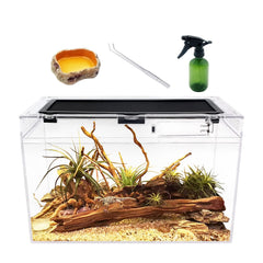 Terrarium Reptile Growth, vue complète pour observer facilement l'animal
