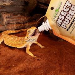 REPTIZOO FRIENDLY gecko-creste en action, nourrissage simple et agréable