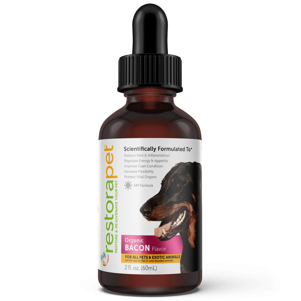 RestoraPet AM Bacon – Bouteille présentée, soutien cellulaire potentiel et compléments nutritionnels.