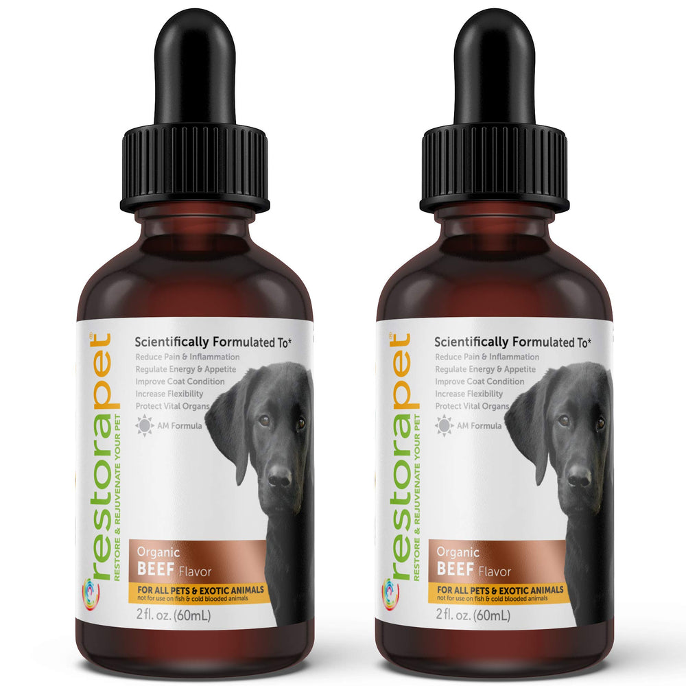 RestoraPet liquide multivitamine boeuf – bouteille transparente favorisant mobilité.