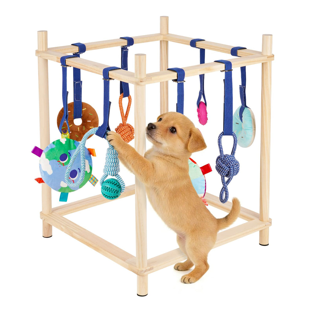 Retyion gym chiot bois: cadre robuste pour jeux intérieurs en sécurité.