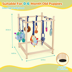 Jouets suspendus de Retyion pour chiots stimulants et interactifs.