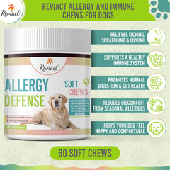 Reviact – soutien immunitaire pour chien, peau saine et énergie équilibrée.