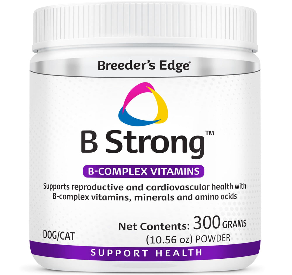 Revival B Strong Poudre emballage pratique pour une routine quotidienne.