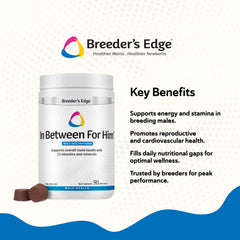 Revival Breeder Edge Between gelules : formulation complète de vitamines et minéraux.