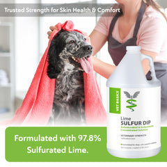 Revival Lime Sulfur Dip, pelage brillant après séchage à l aire.