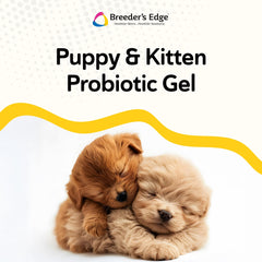 Chaton heureux avec Nurture Flora, soutien immunitaire et nutrition