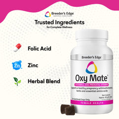 Breiver Oxy Mate, dispense-facile : administration simple et régulière pendant la gestation.