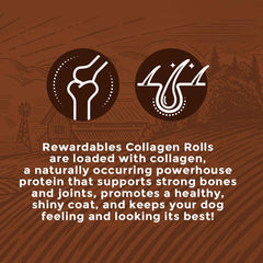 Rewardables gros chien mâchant un rouleau, récompense longue durée possible pendant l'entraînement.