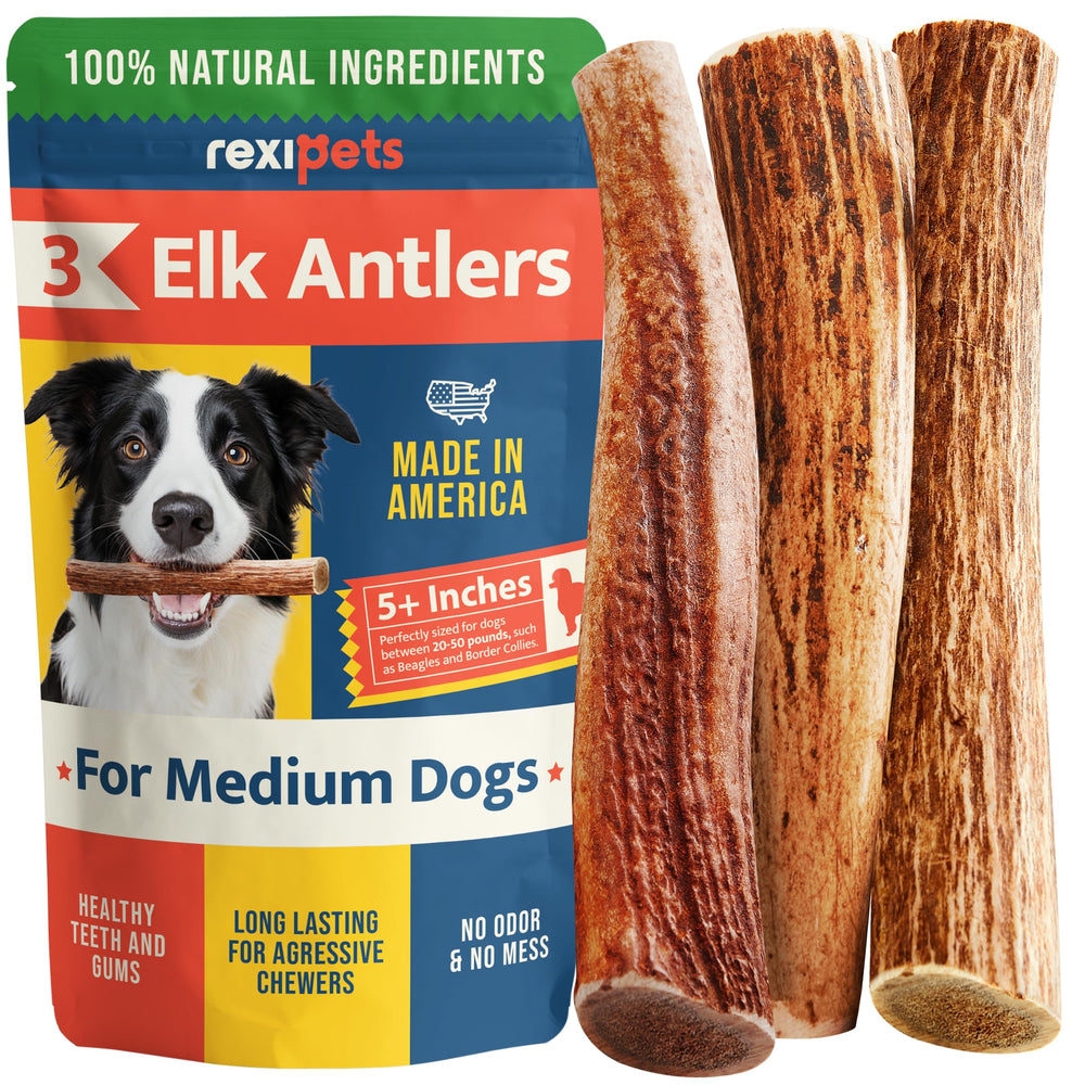 REXIPETS cornes d'élan pack 3, friandise naturelle et durable pour chiens.