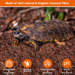 Substrat coco Riare absorbe les odeurs et les déchets du terrarium.