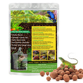 Riare billes d'argile expansée pour terrarium offrant un drainage efficace.