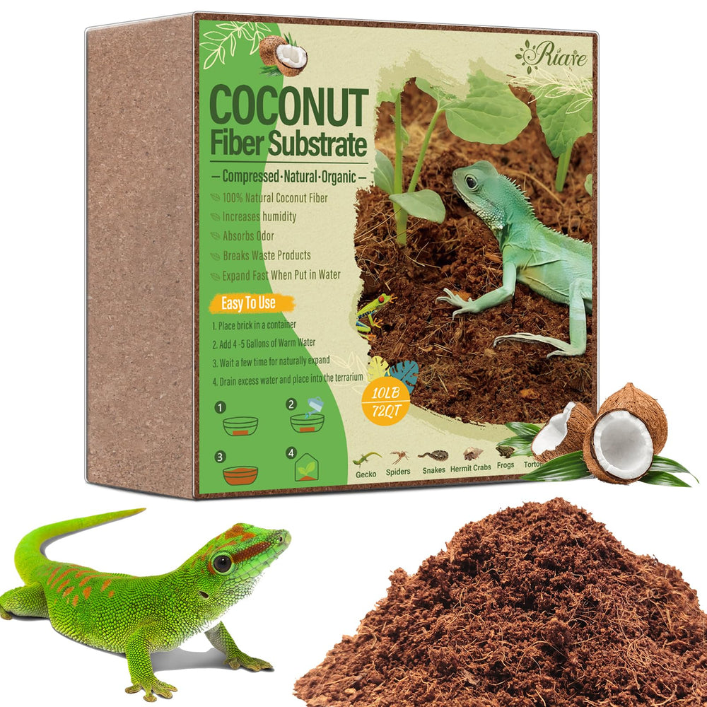 Riare brique coco substrat : litière naturelle prête à gonfler et retenir l’humidité.