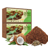 Brique de coco Riare pour terrarium, gonfle rapidement et offre un habitat sain.