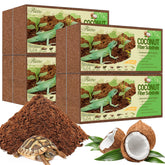 Riare briques fibre de coco: substrat prêt à gonfler après immersion.
