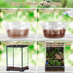 Riare : démonstration de drainage efficace pour terrarium bioactif.