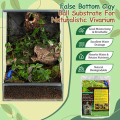 Riare : faux fond humide pour terrarium favorisant l'humidité.