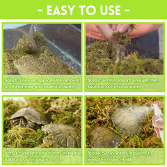 Riare mousse favorise le creusement et le repos des reptiles.