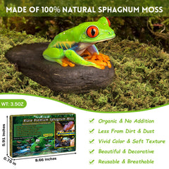 Riare mousse sphagnum et humidité du terrarium, parfait pour reptiles.