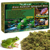 Riare mousse sphagnum naturel dans terrarium, habitat plus humide.