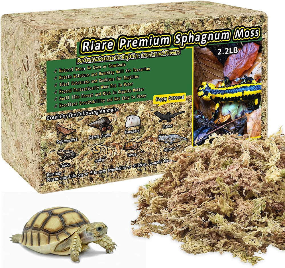 Riare Mousse sphagnum naturelle dans son emballage, prêt à l’emploi pour terrarium.
