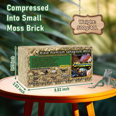 Riare Mousse Sphaigne Premium mousse hydratée prête pour terrarium