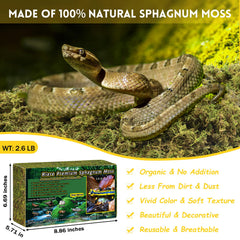 Riare mousse naturelle pour reptiles, absorption élevée et humidité durable.