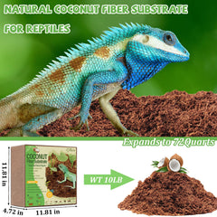 Riare brique coco : expansion rapide après immersion pour terrarium sain.