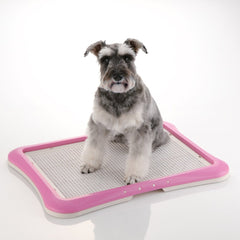 Richell Paw Trax remplacement facile des pads rose
