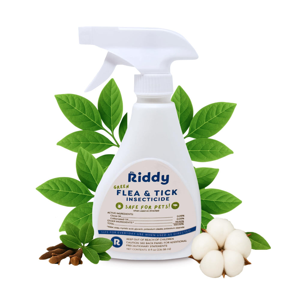 Riddy bouteille spray naturel puces et tiques, utilisation pratique et rapide à la maison.