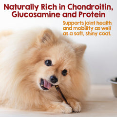 Riley's collagene pour chiens, baton a croquer, soutien articulation potentiel