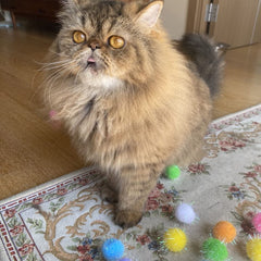 RIMOBUL boule stimule exercice et agilité chez le chat