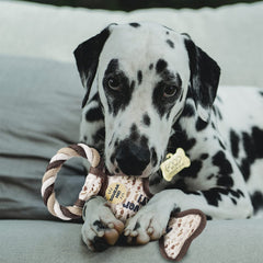 Rite Lite Chewdaica: matériau securise et durable pour Pessah.