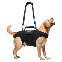 Harnais de levage RIXBEO pour grand chien facilitant le transfert et la mobilité.