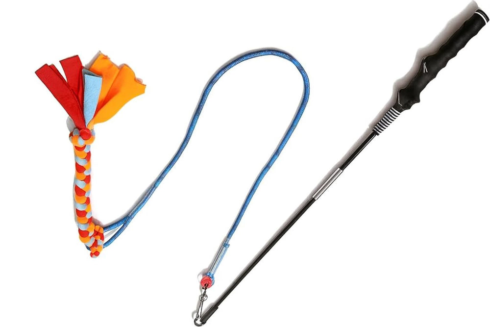 RKGodisGoodLK Flirt Pole: pôle 35 po pour exercice actif du chien.