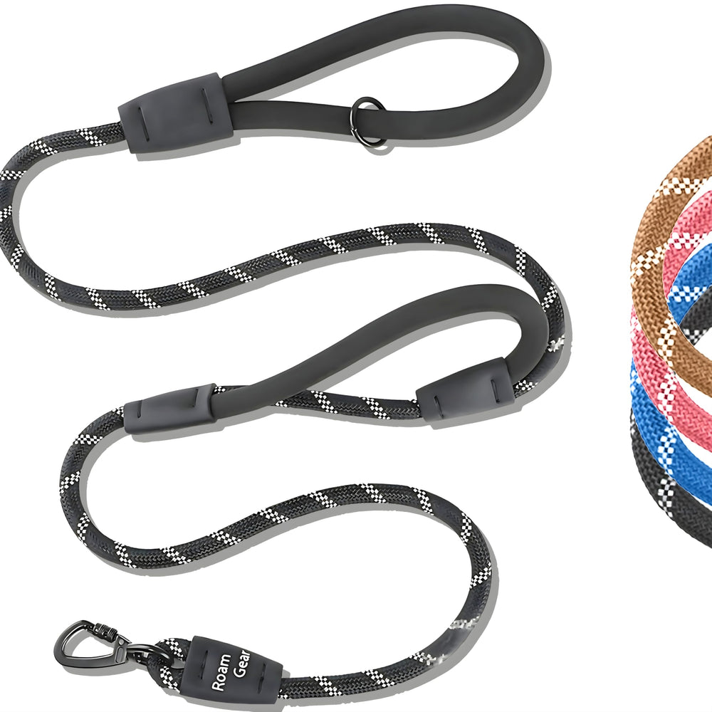 Laisse Roam Gear générale, idéale pour promenades sécurisées de 6 pieds.