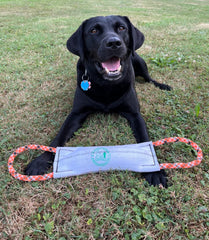 Rock-N-Rescue Hound Hose double-jacquet pour durabilité accrue