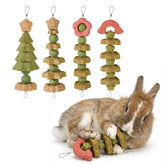 Rodizoo ensemble-quatre-pack-jouets-grignotage-lapin, stimulation dentaire naturelle et divertissement.